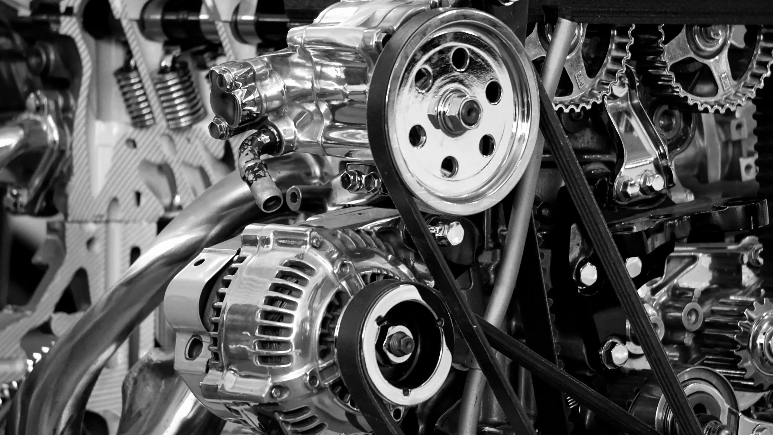 timing chain close-up